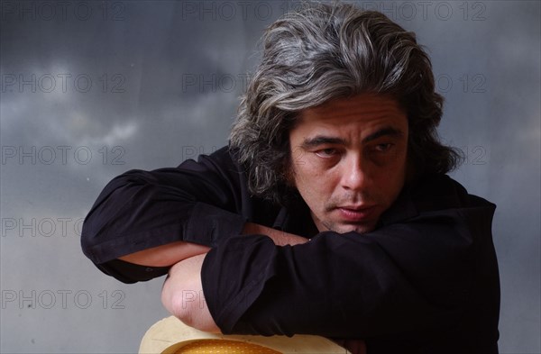 Benicio Del Toro