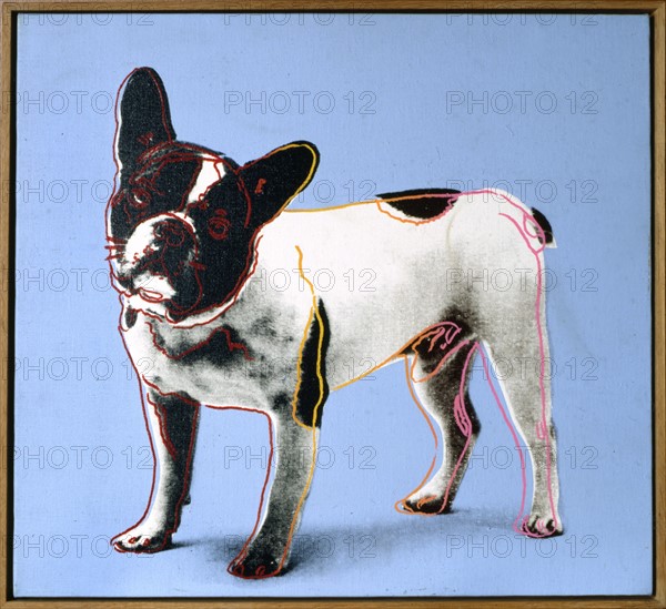 Yves saint laurent french bulldog sales