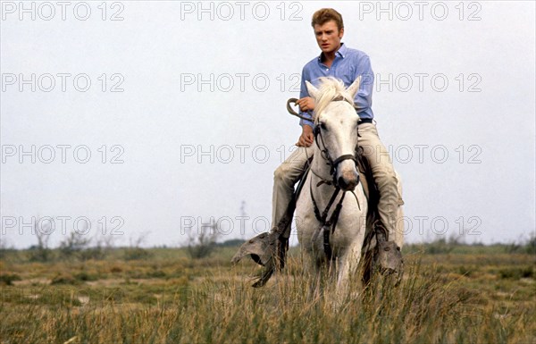 Johnny Hallyday