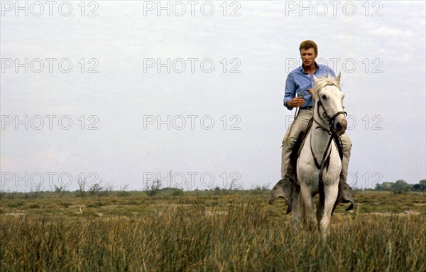 Johnny Hallyday