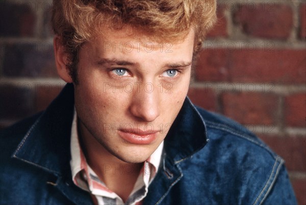 Johnny Hallyday, 1965