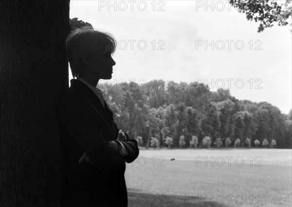 Françoise Hardy (2004)