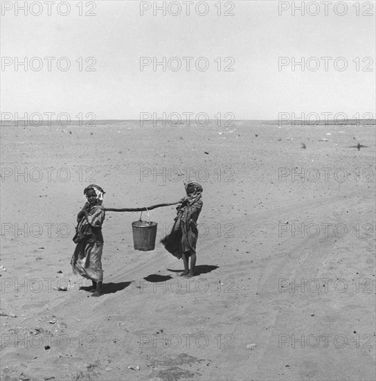 Retour du puits, sur la piste allant à El Golea, dans le Sahara