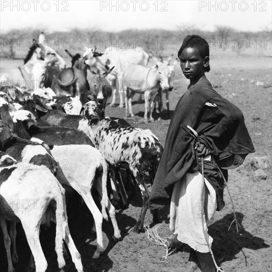 Puits entre Agadès et Tanout, au Niger