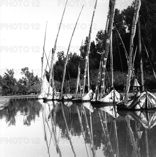 Felouques à Ismailia, En Egypte