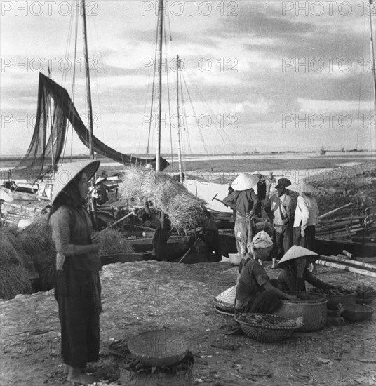 Village de pêcheurs entre Haïphong et Do Son, au Vietnam