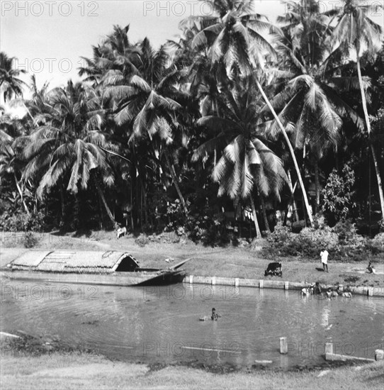 Paysage près d'Anuradhapura, ancienne capitale de Ceylan