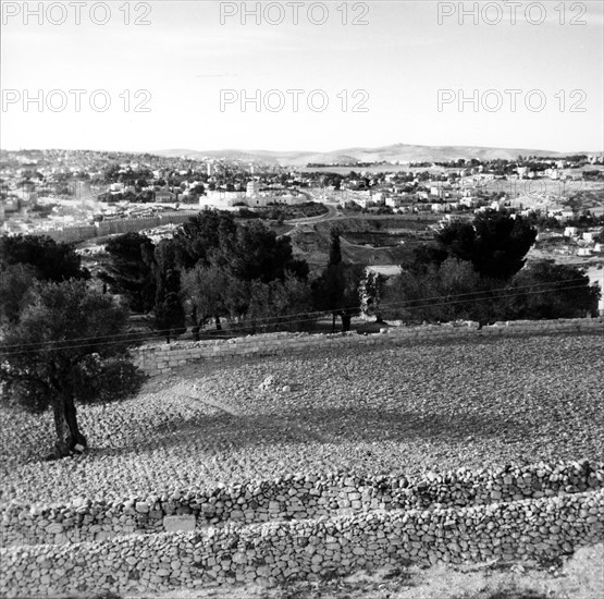 Mont des Oliviers à Jérusalem, en Palestine