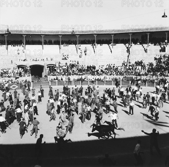 Feria de Pampelune, en Espagne