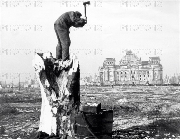 Post-war period, cutover 'Tiergarten' park in Berlin