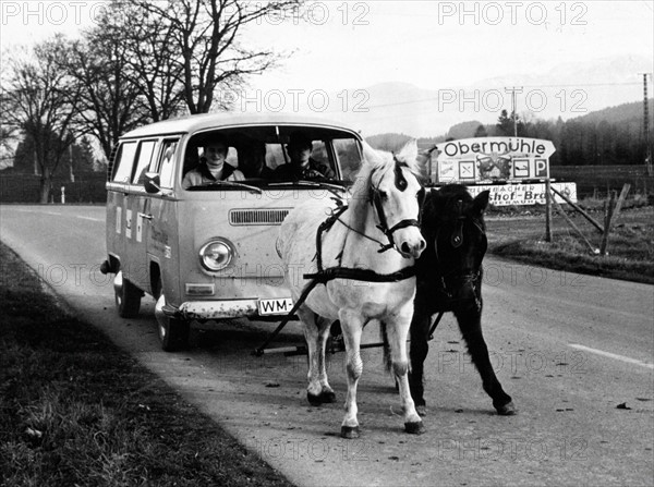 Chevaux remorquant un minibus Volkswagen