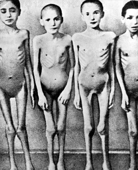 Dans un camp de concentration nazi, des enfants juifs servent de cobayes