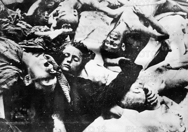 Au camp de concentration d'Auschwitz-Birkenau, un amoncellement de cadavres (1945)