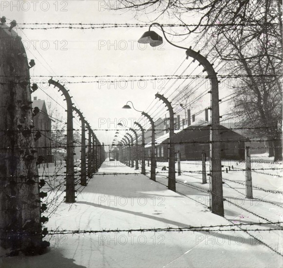Electrified barbed wire fence at the Auschwitz-Birkenau concentration camp