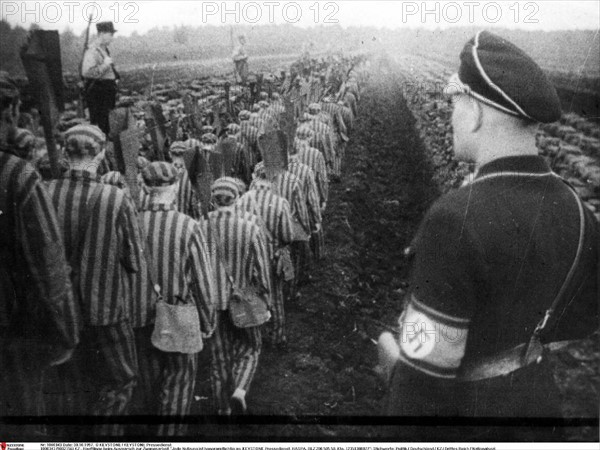 At a Nazi concentration camp, prisoners coming back from hard labour