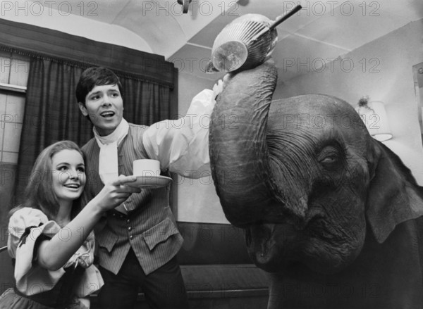 Cliff RICHARD and Pippa STEEL with an elephant, London 1966