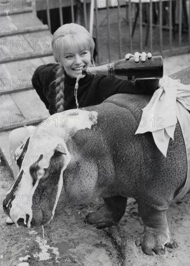 Karin BAAL baptizes a hippopotamus, 1965