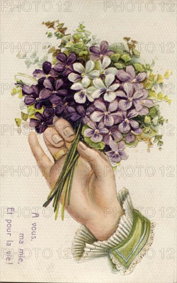 Vintage Postcard