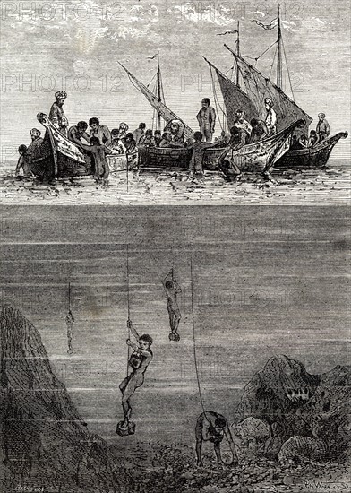 Pêcheurs de perles à Ceylan, 19e siècle