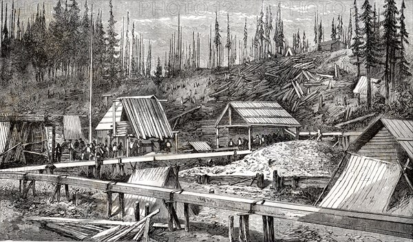 Gisement d'or de Cameron au Canada, 1866