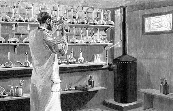 Studies on diphteria in a laboratory