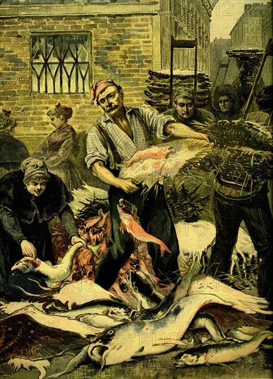 The fish market