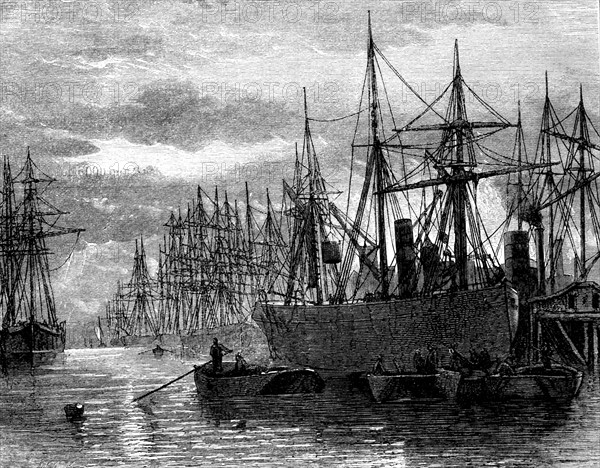 Ships unloading coal at the London docks - 19th century