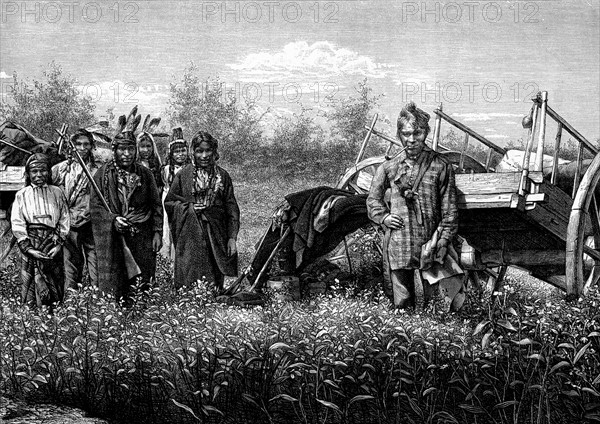 Indiens Chippewas