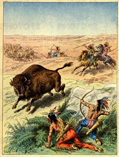 Hunting the buffalo