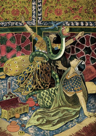 Un serpent dans le Harem