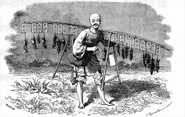 Rat killer in China.Design by Emile Bayard
1873                ( Le Tour du Monde 1873