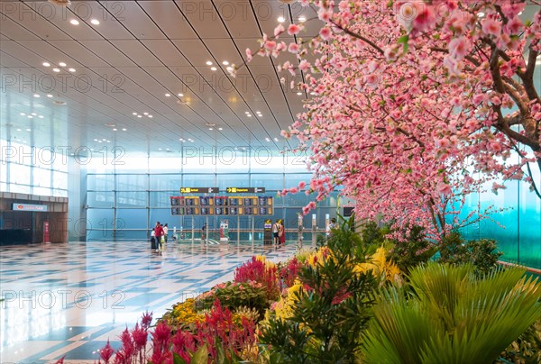 Photo Garden in Terminal 2, Singapore Changi Airport, Changi, Singapore