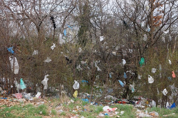 plastic bags on the branches of trees and ground environmental pollution