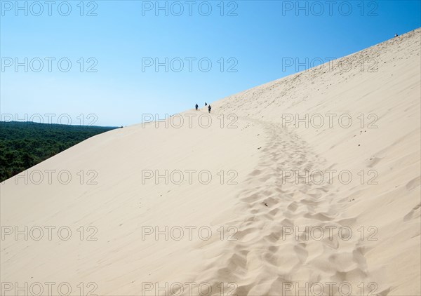 The Dune of Pilat, the tallest sand dune in Europe. La Teste-de-Buch, Arcachon Bay, Aquitaine, France