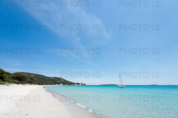 Palombaggia Beach near Porto Vecchio, Corse du Sud, Corsica, France
