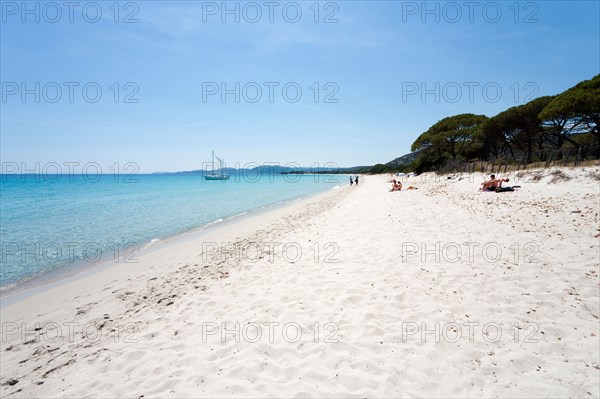 Palombaggia Beach, near Porto Vecchio, Corse du Sud, Corsica, France