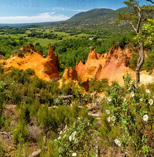 Le Colorado de Rustrel, Colorado, landscape, summer, mountains, hills, ochre, Rustrel, Vaucluse, France, Europe,