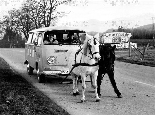 Alternate ways of transport - two horses pulling a Volkswagen