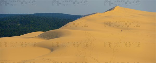 Dune of Pilat, tallest sand dune in Europe, France, Arcachon