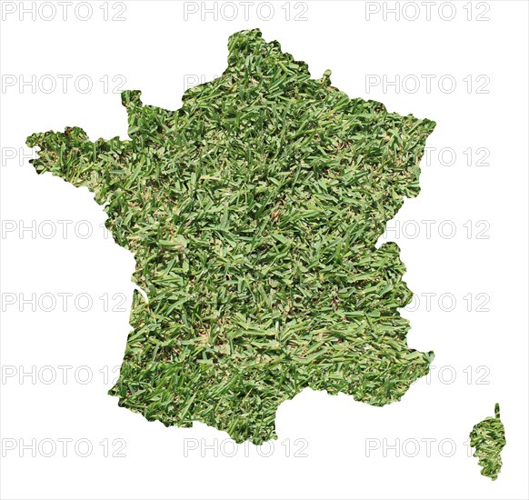 Map of France filled with green grass, environmental and ecological concept.