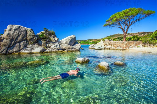 Young attractive man snorkeling in green lagoon near famous pine tree on Palombaggia beach on the south part of Corsica, France
