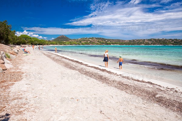 Sandy Palombaggia beach with pine trees and azure clear water, Corsica, France, Europe.