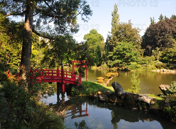 stunning view of Japanese garden in France