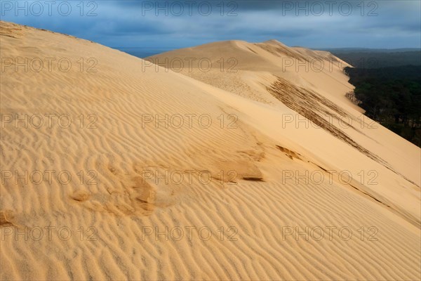 Dune of Pilat, tallest sand dune in Europe, France, Arcachon