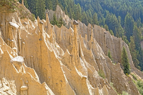 Natural Earth Pyramids in Renon, Ritten, South Tyrol, Italy