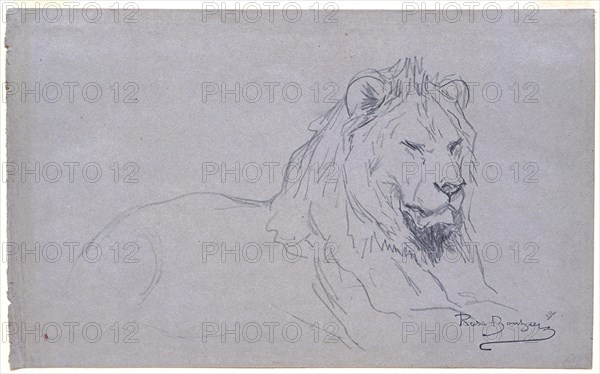 Rosa Bonheur, French, 1822–1899, Study of a Lion's Head, 1832–1899, Pencil on gray wove paper, Overall: 6 9/16 x 10 11/16 in. (16.6 x 27.1 cm