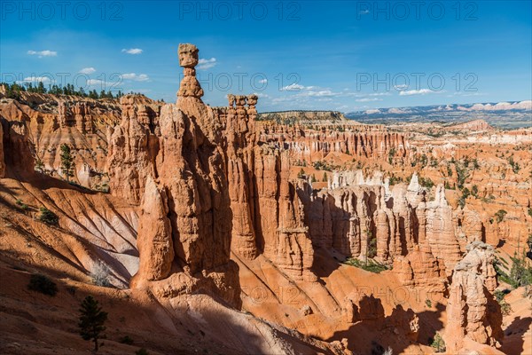 Hoodoos, Thor's Hammer, Amphitheater, Bryce Canyon National Park, Utah, USA