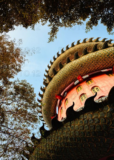 Golden dragon wrapping on tower of temple with autumn leaves in evening at Wat Samphran, Thailand