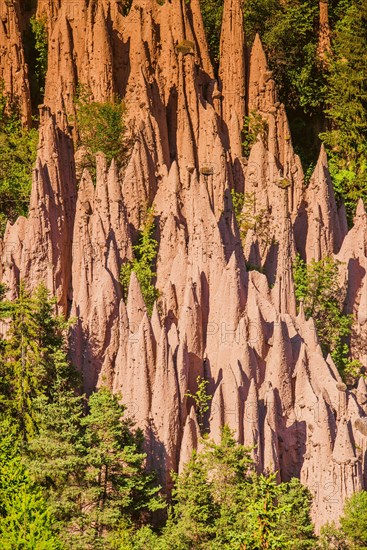 Earth pyramids of Ritten, Longomoso, Renon - Ritten region, South Tyrol, Italy, Europe