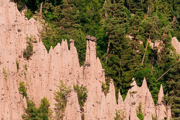 Earth pyramids of Ritten, Longomoso, Renon - Ritten region, South Tyrol, Italy, Europe